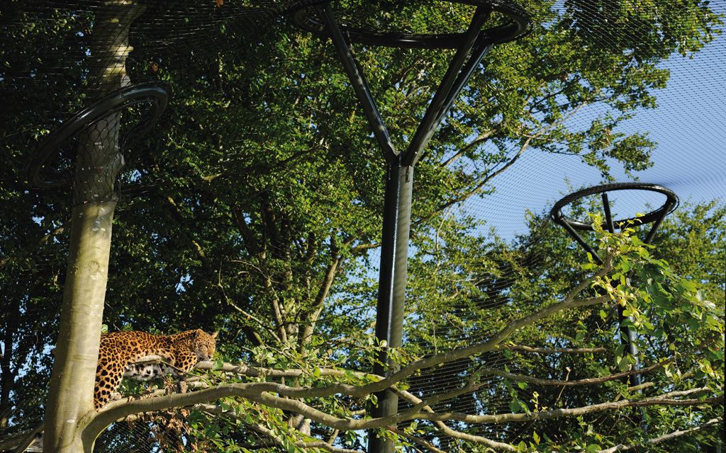 Ree-Park-Safari-Ebeltoft-Danimarka_leopar-barinak_celik-ag-halat_TSB1